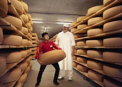 Mitarbeiter trägt grossen Käse Mitarbeiter trägt grossen Käse
